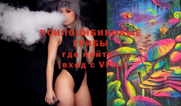 Альфа ПВП Дмитриев
