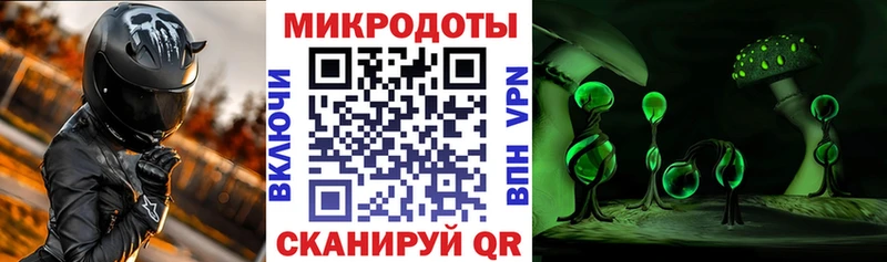 наркота  Пласт  Галлюциногенные грибы мицелий 
